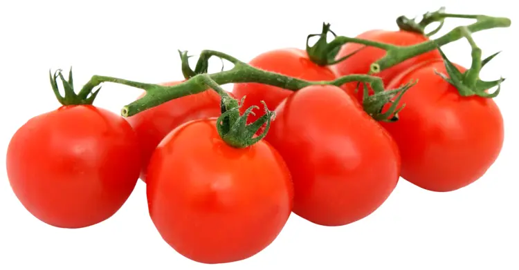 Fresh Red Vine Tomatoes