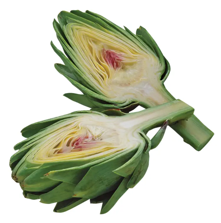 Fresh Green Artichokes Cut in Half