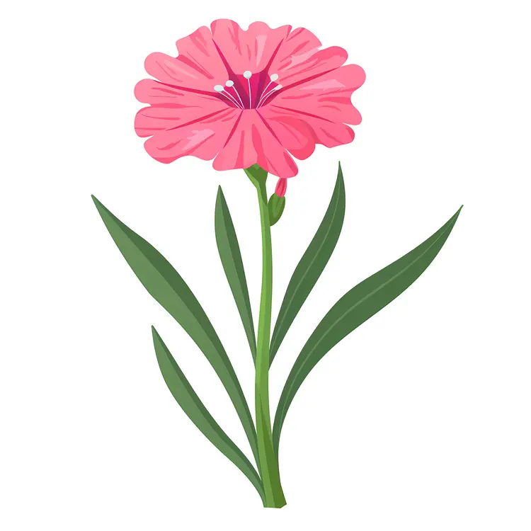 Single Pink Flower with Green Leaves Illustration