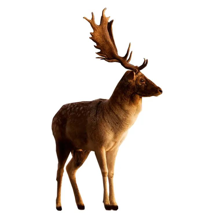 Standing Deer with Large Antlers