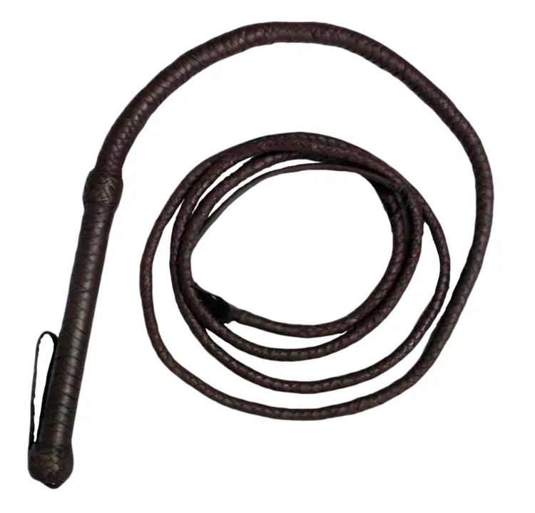 Brown Leather Whip with Handle