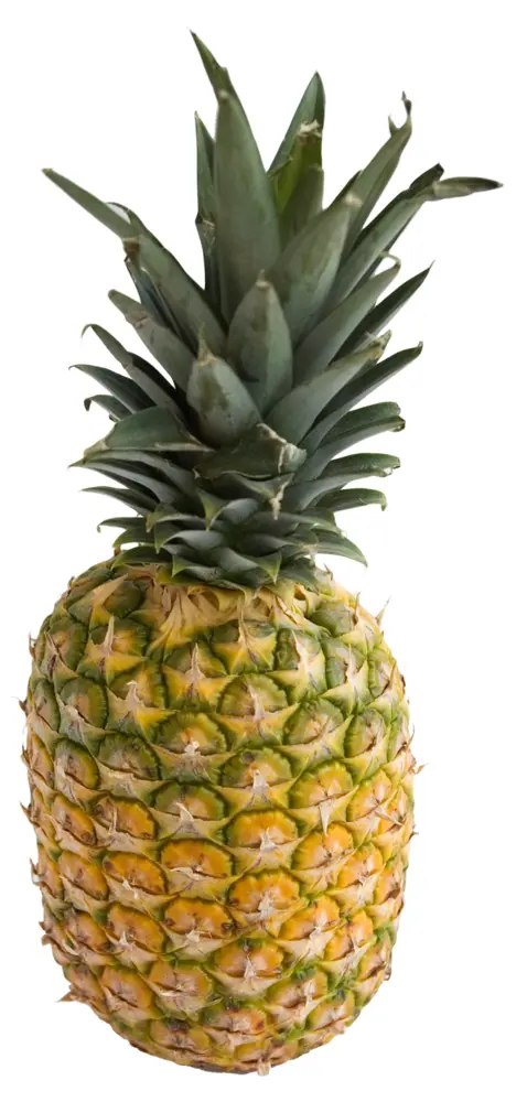 Single Fresh Pineapple
