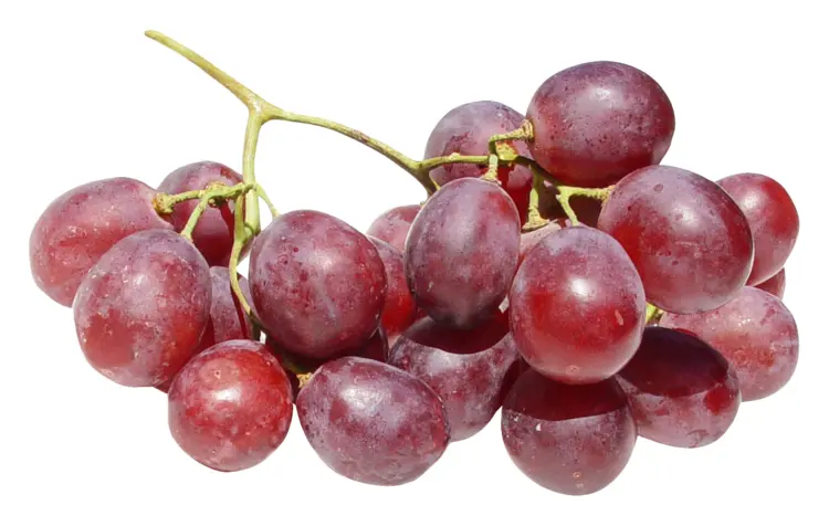 Fresh Bunch of Red Grapes