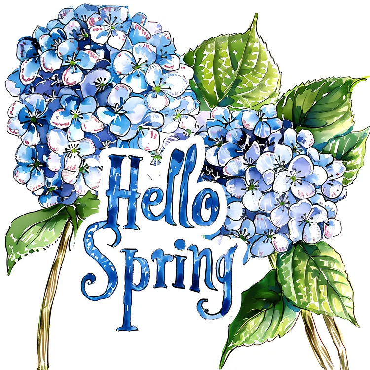 Beautiful hydrangeas in spring