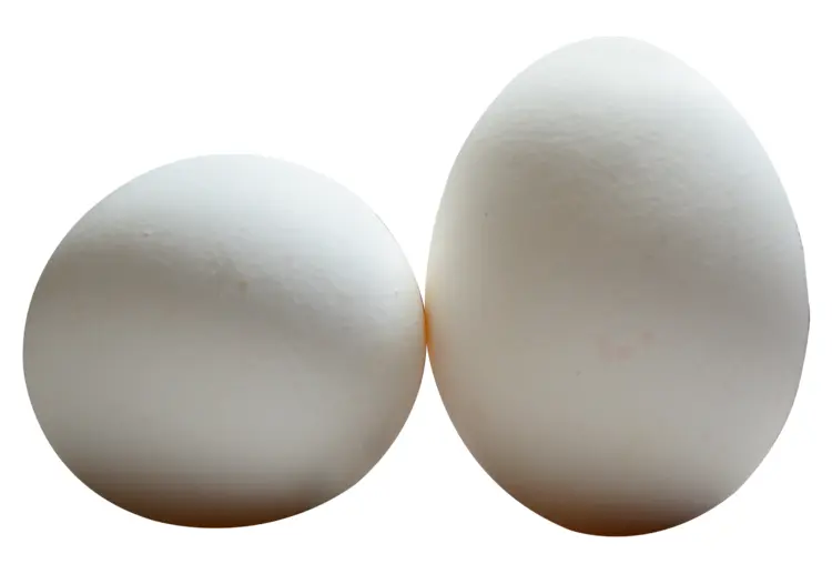 Two White Eggs