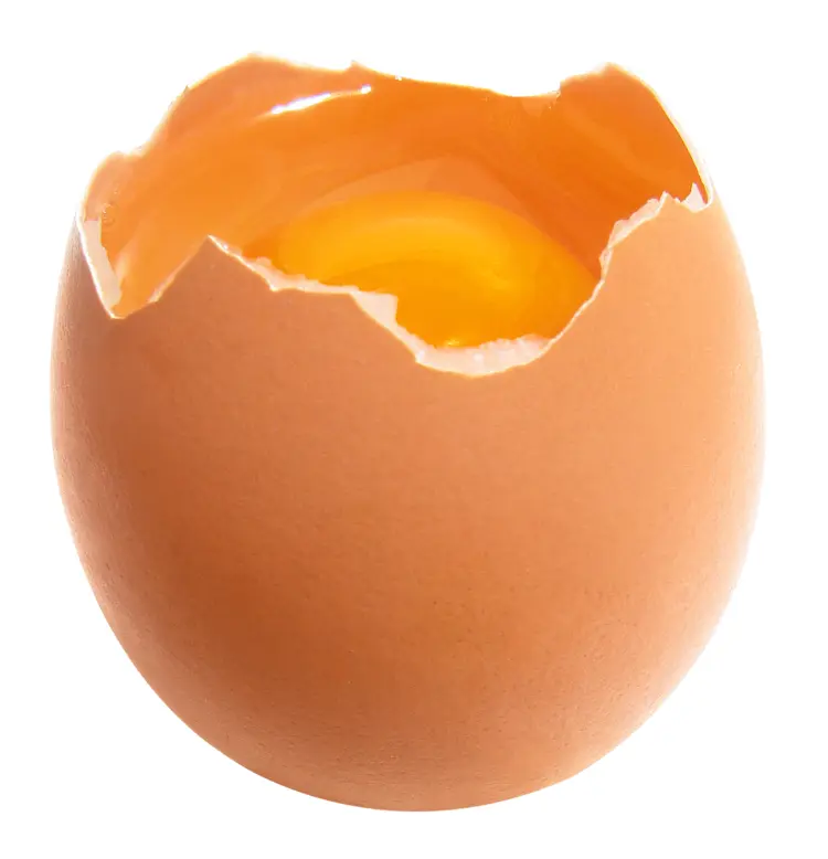 Cracked Egg with Yolk