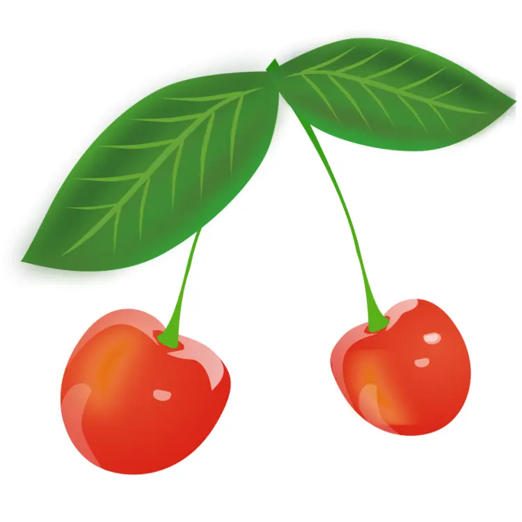 Red Cherries with Leaves