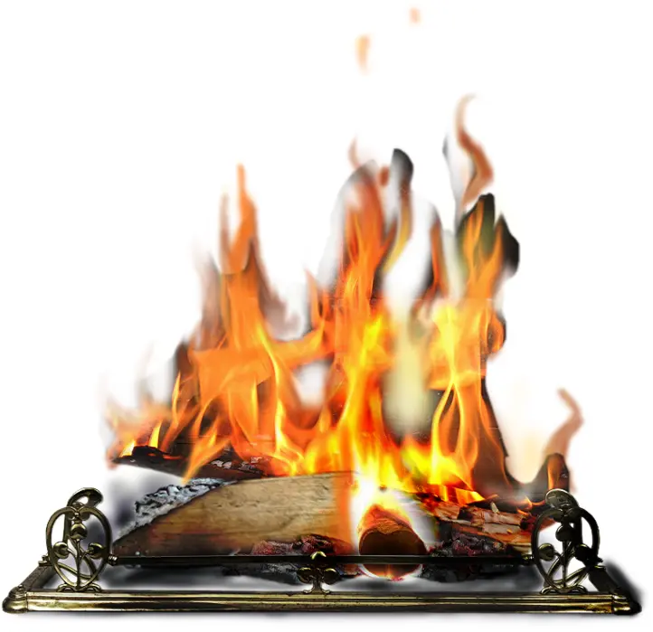 Cozy Fireplace with Burning Logs