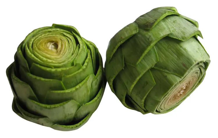 Fresh Green Artichokes Cut in Half