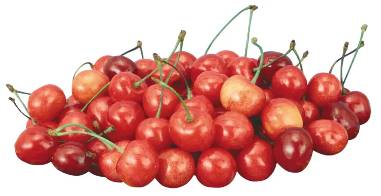 Pile of Red Cherries