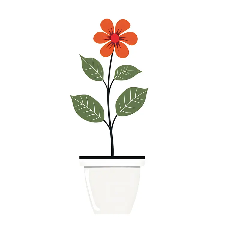 Orange Flower in a Pot