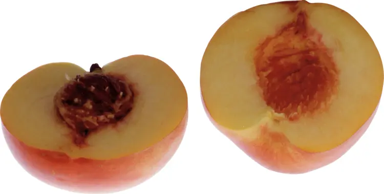 Halved Peaches