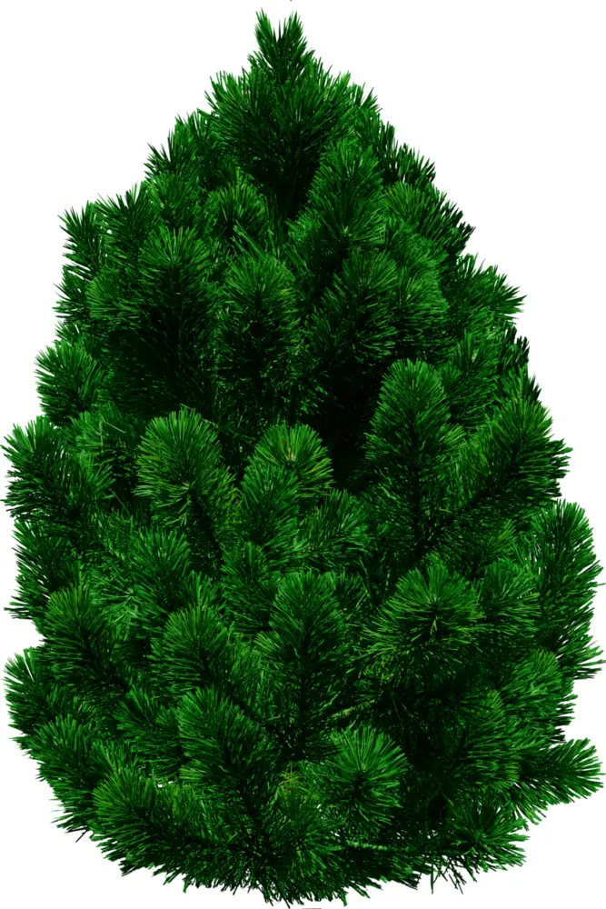 Bushy Tree with Dense Green Foliage
