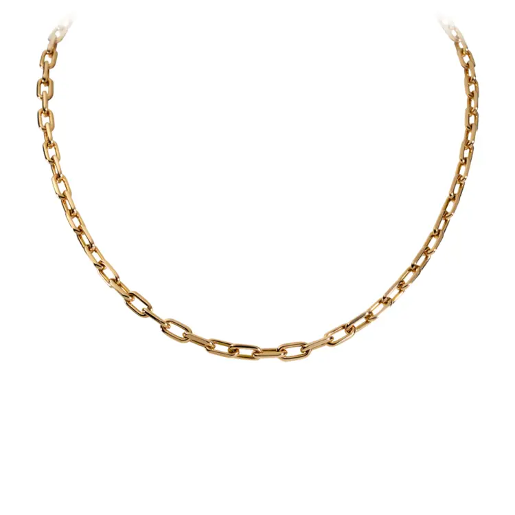 Chic Gold Chain Necklace