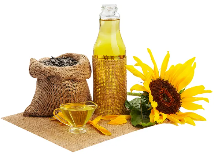 Sunflower Oil with Seeds and Flower