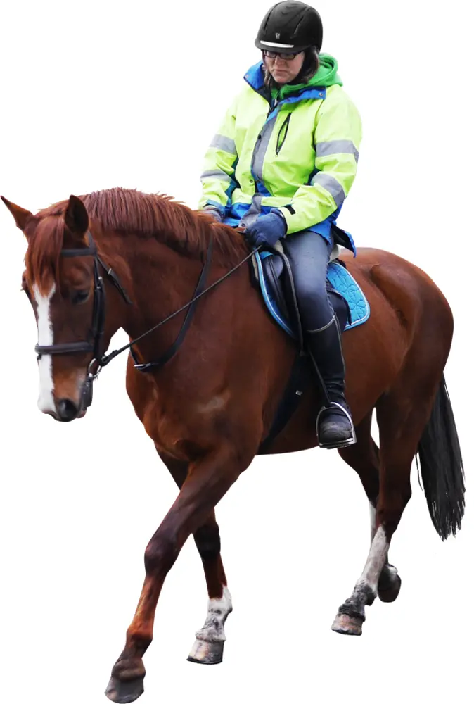Person Riding a Horse