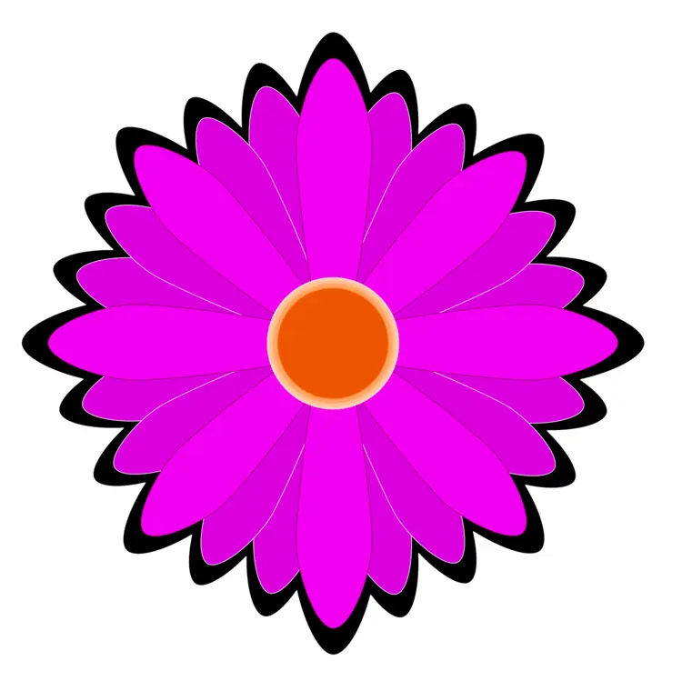Bright Pink Flower Illustration