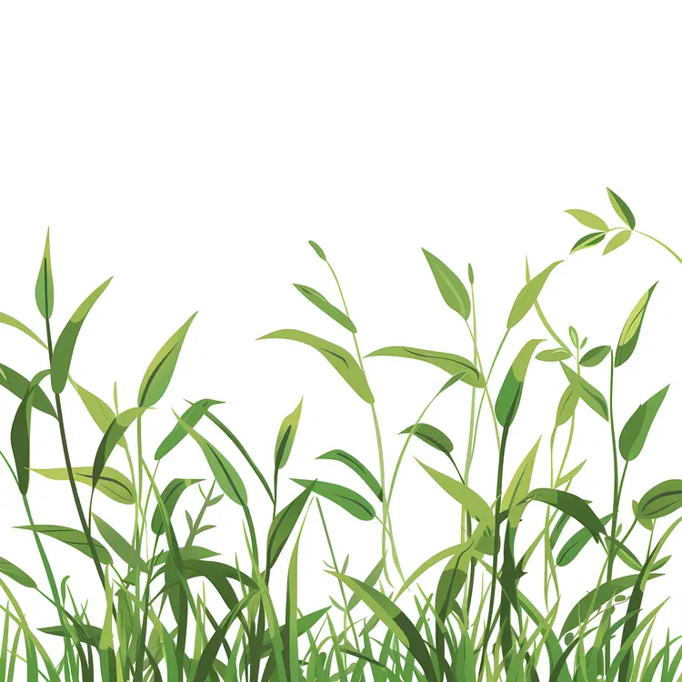 Green Grass Blades