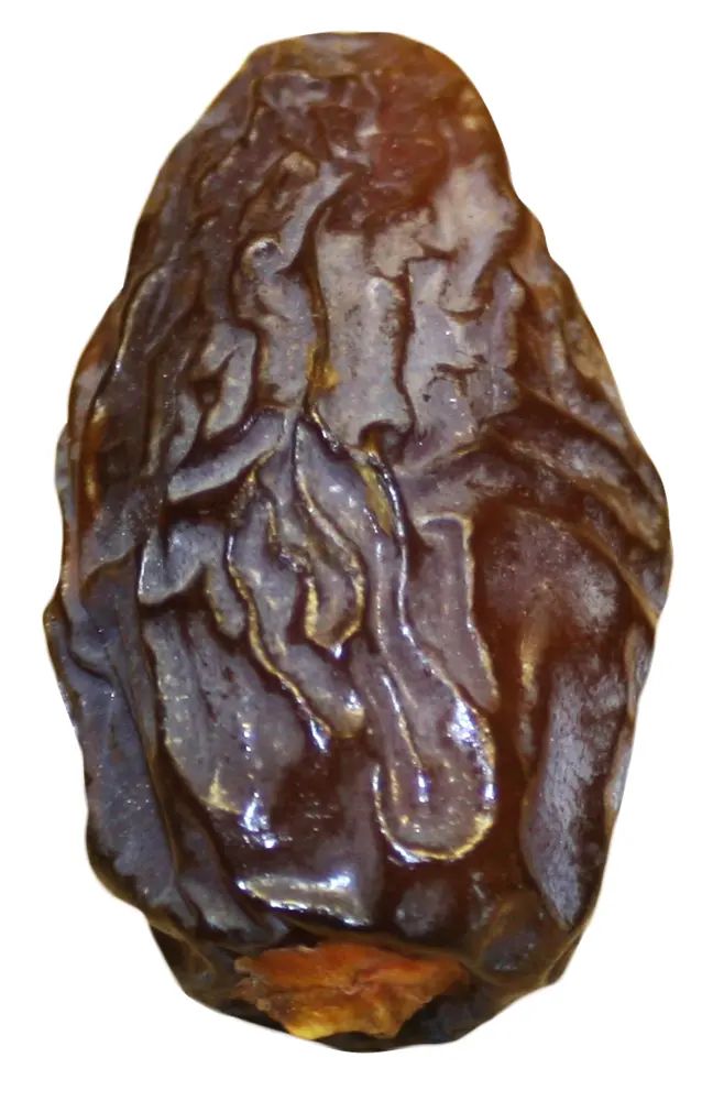Single Brown Dried Date