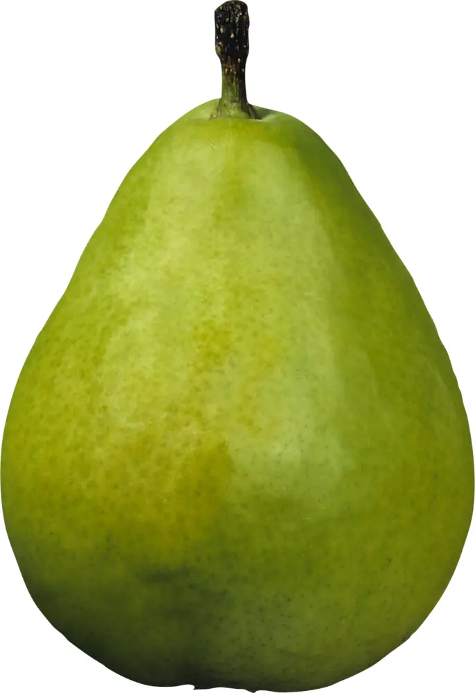Fresh Green Pear