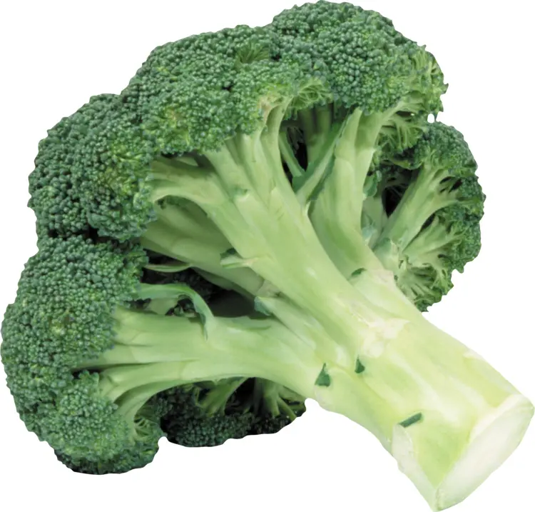 Fresh Green Broccoli