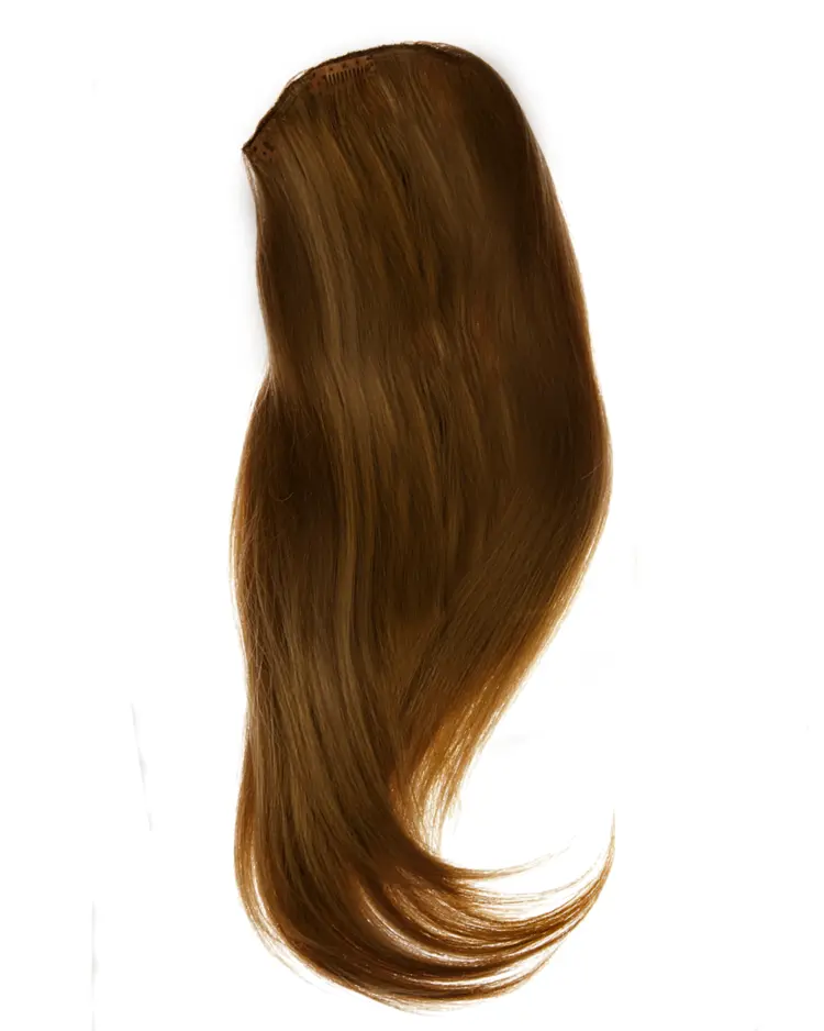 Long Brown Hair Wig