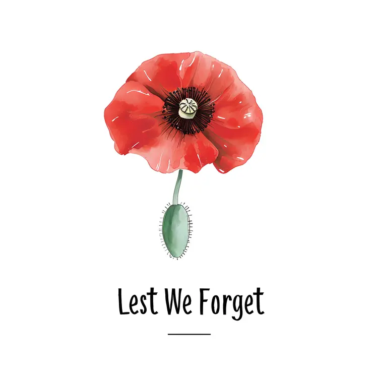 Red Poppy for Remembrance
