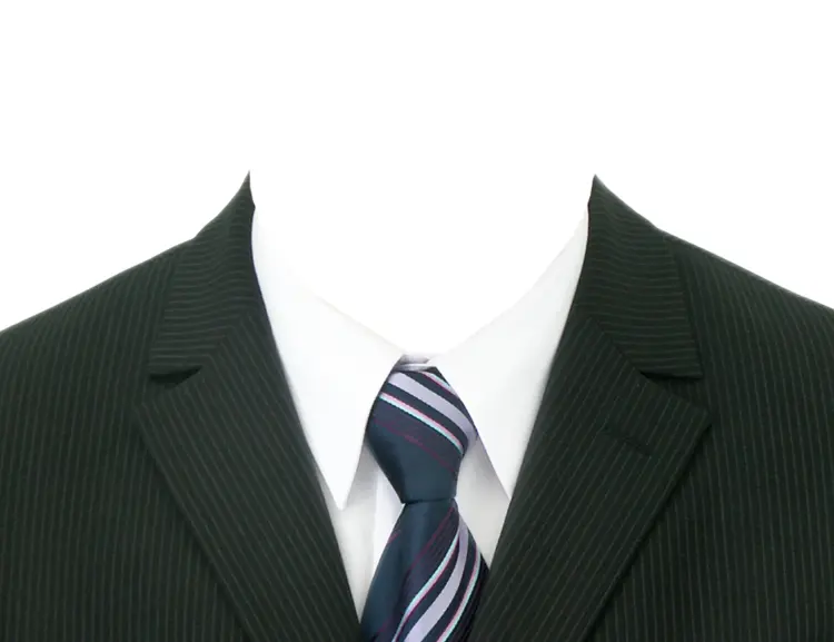 Formal Business Suit