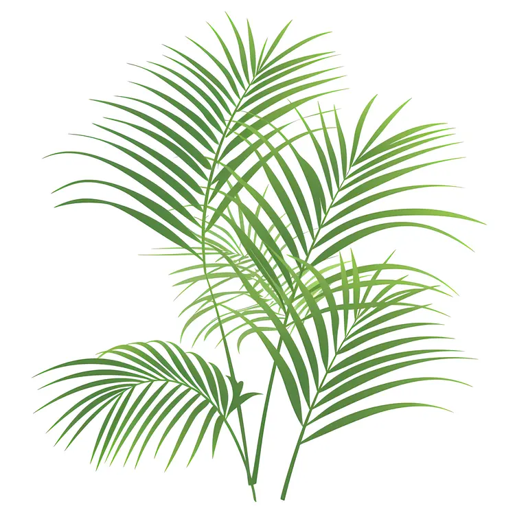 Green Palm Leaves Illustration