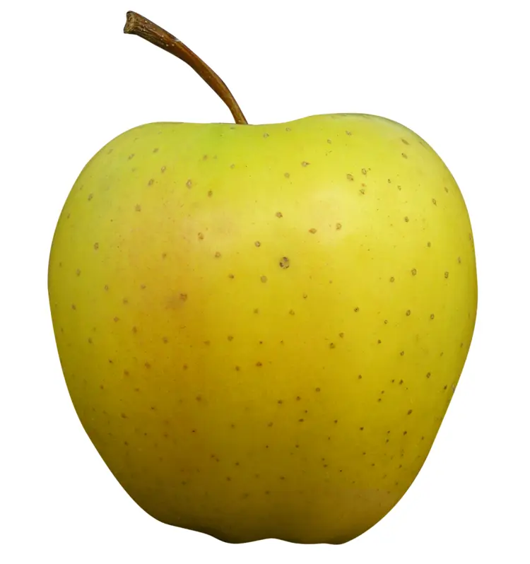Single Fresh Yellow Apple