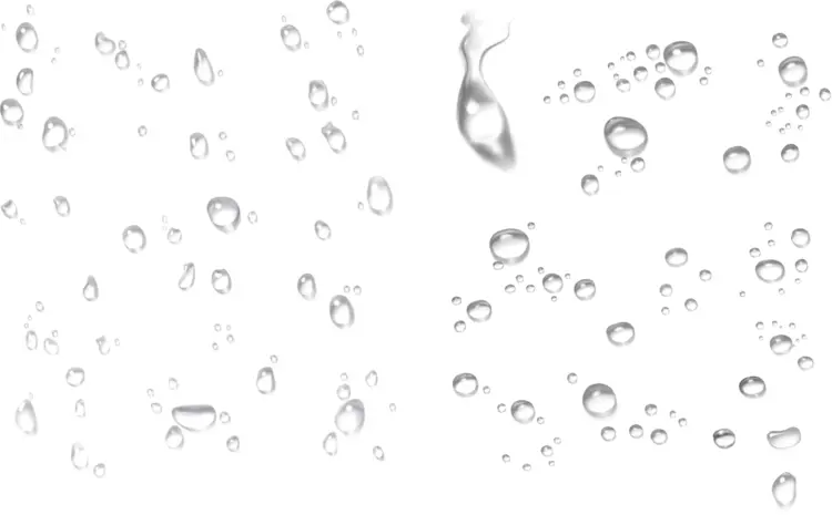 Various Sizes of Water Droplets on a Clear Background