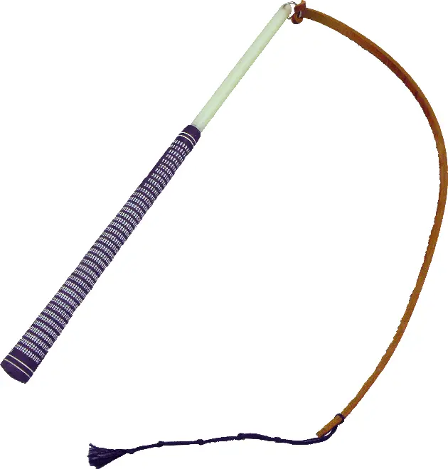 Riding Crop for Equestrian Training