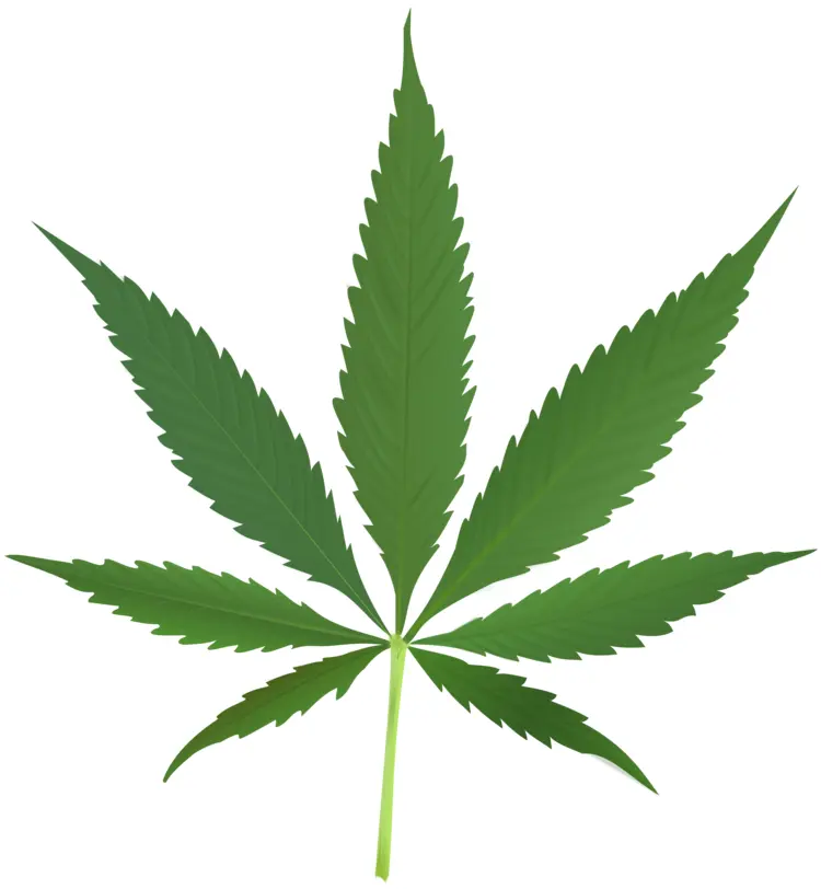 Green Cannabis Leaf