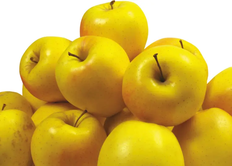 Pile of Fresh Yellow Apples