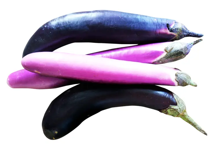 Fresh Purple Eggplants