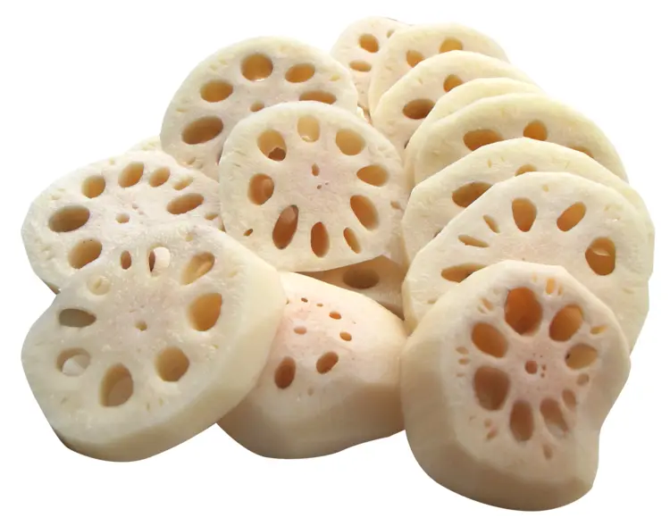 Sliced Lotus Root for Cooking