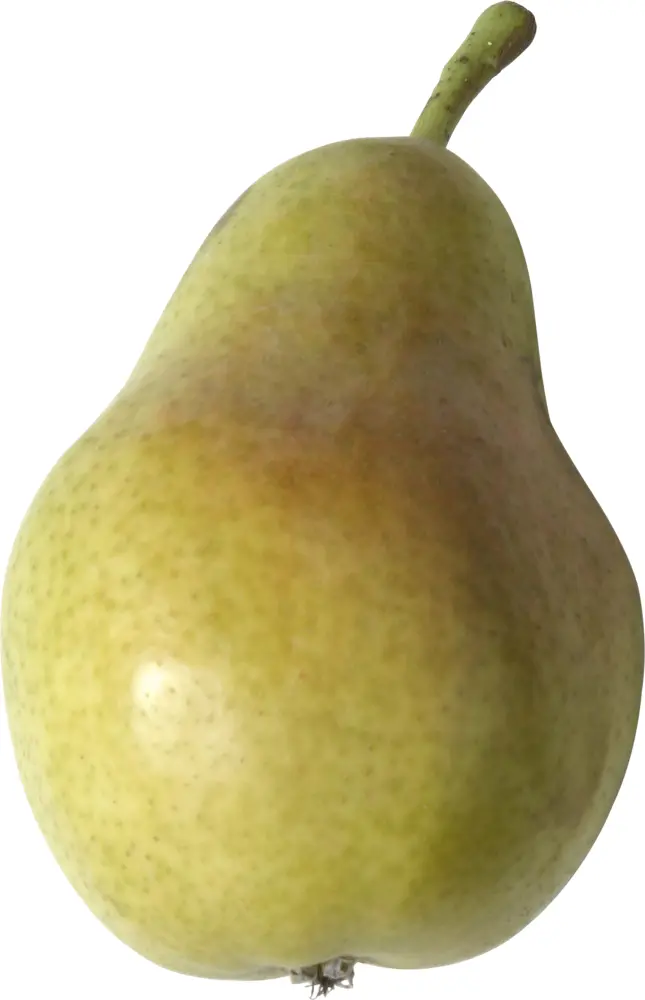 Fresh Green Pear