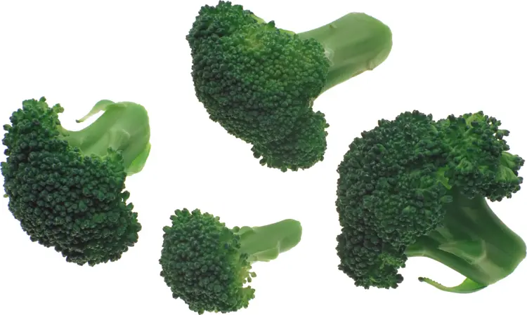 Fresh Green Broccoli