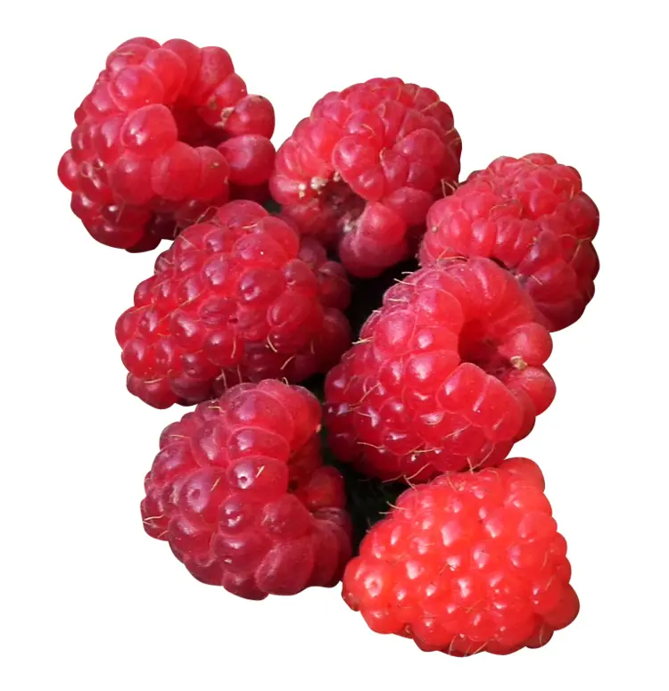 Cluster of Fresh Raspberries