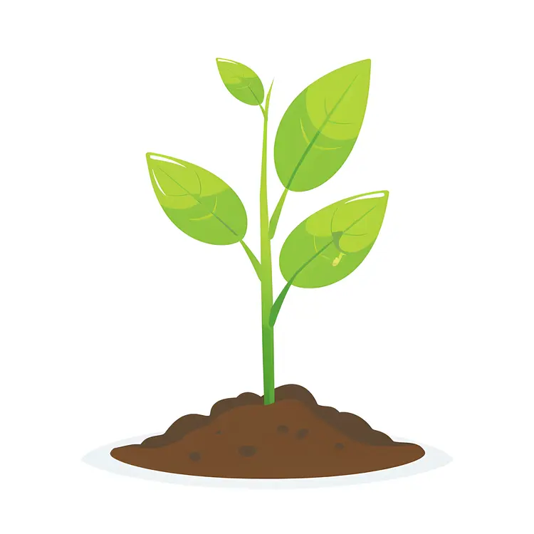Green Plant Growing in Soil