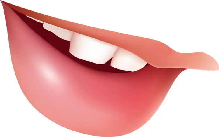 Smiling Mouth Illustration