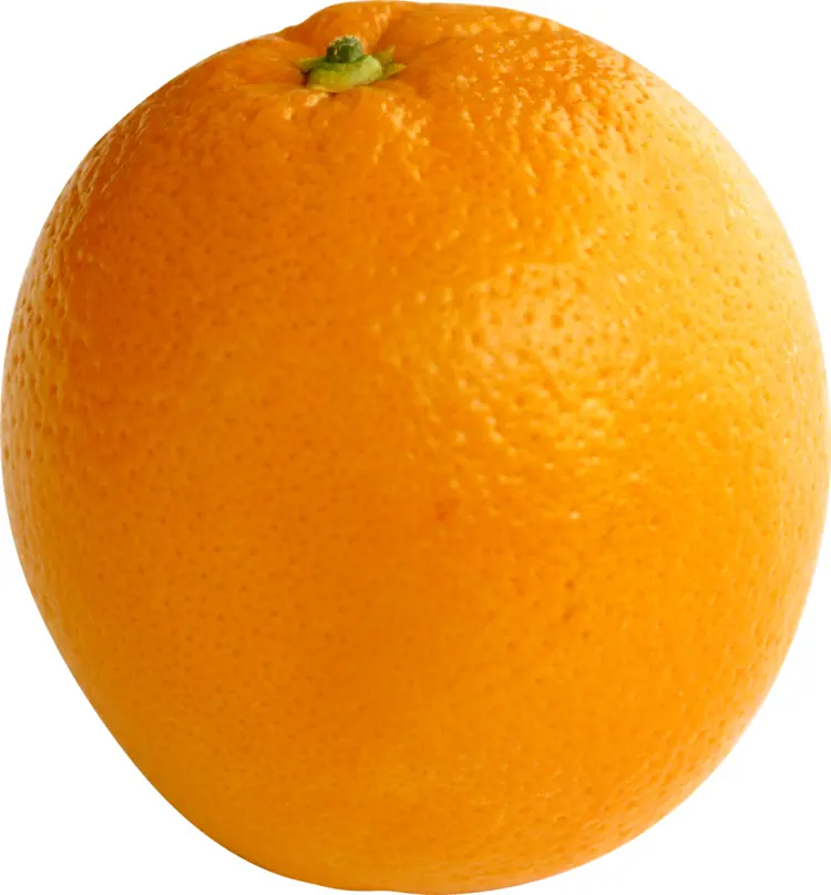 Juicy Orange Fruit