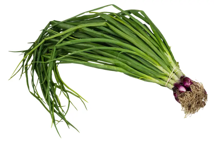 Fresh Green Onions for Flavorful Dishes