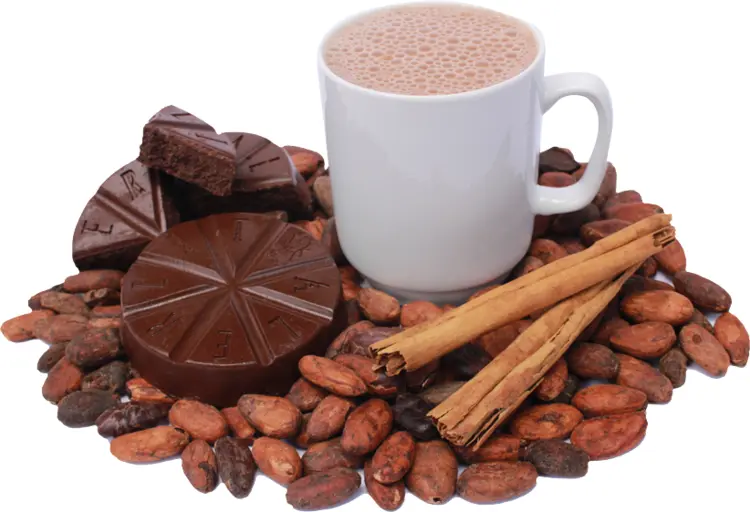 Warm Hot Chocolate with Cocoa