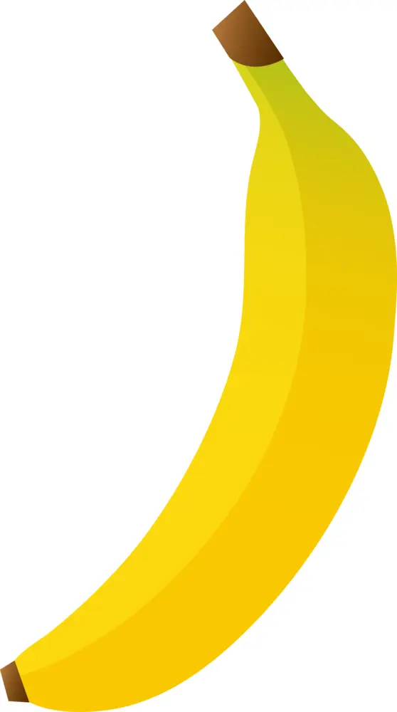 Single Yellow Banana