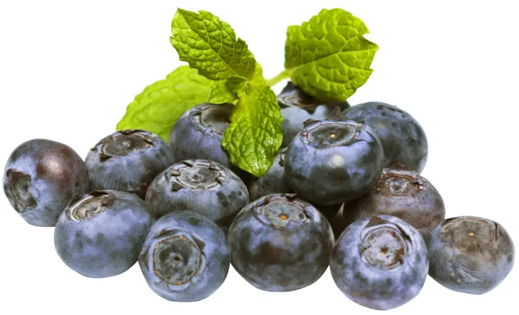Fresh Blueberries with Mint Leaves