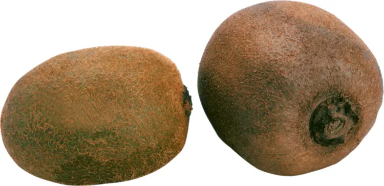 Brown Fuzzy Kiwi Fruit