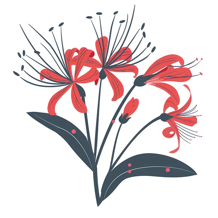 Red Spider Lily Botanical Illustration