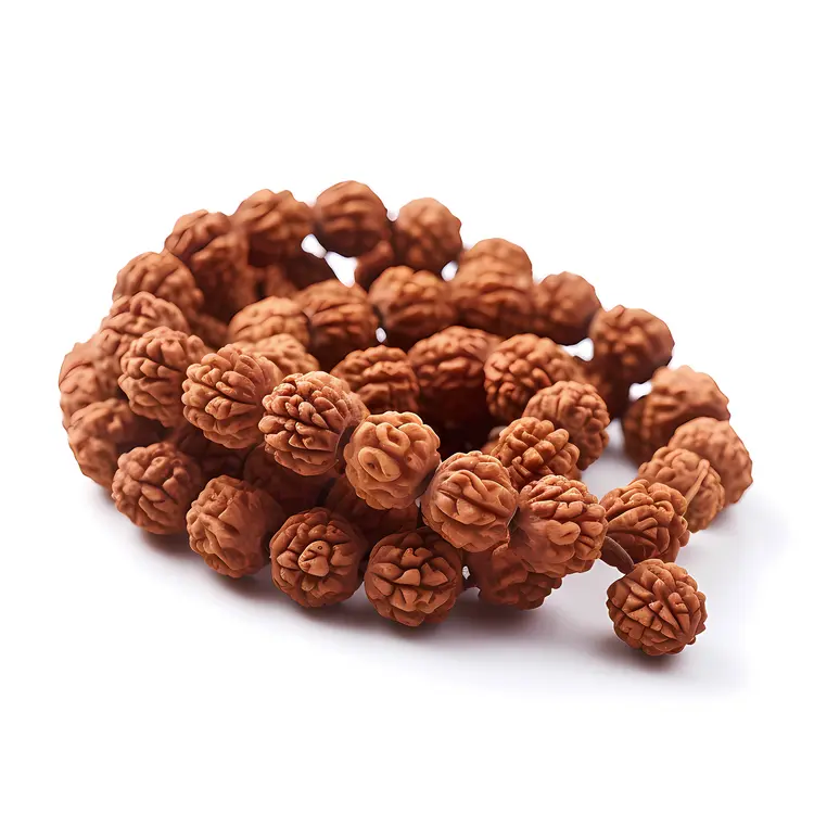 Rudraksha Bead Mala