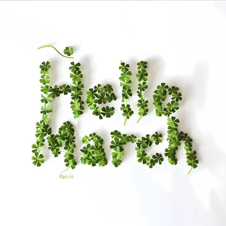 Hello March Text with Clover Arrangement